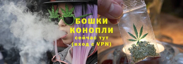 ПСИЛОЦИБИНОВЫЕ ГРИБЫ Беломорск